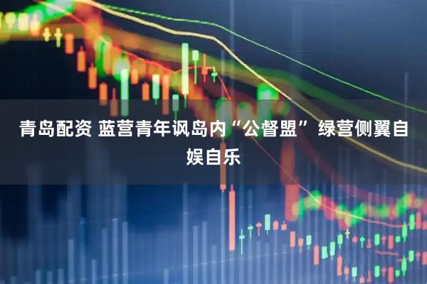 青岛配资 蓝营青年讽岛内“公督盟” 绿营侧翼自娱自乐