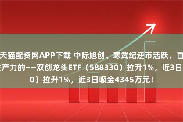 天猫配资网APP下载 中际旭创、寒武纪逆市活跃，百分百布局新质生产力的——双创龙头ETF（588330）拉升1%，近3日吸金4345万元！